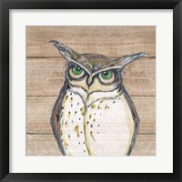 Framed 'Owl' border=