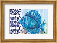 Framed Blue Fish
