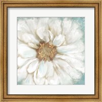 Framed Zinnia I