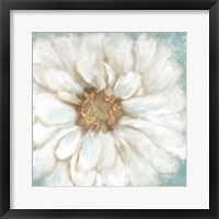 Framed Zinnia I