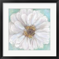 Zinnia V Framed Print