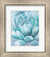 Framed Aqua Succulent IV