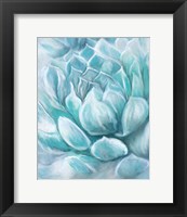 Framed Aqua Succulent IV