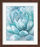 Framed 'Aqua Succulent IV' border=