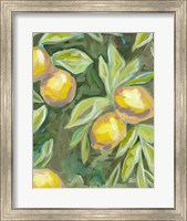 Framed Lemon Tree