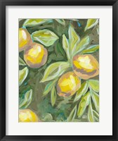 Framed Lemon Tree