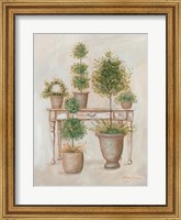 Framed Potting Bench & Topiaries II