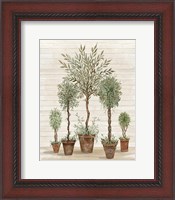 Framed Potted Tree Collection