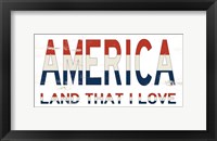 Framed America - Land That I Love