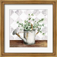 Framed Eucalyptus White Watering Can