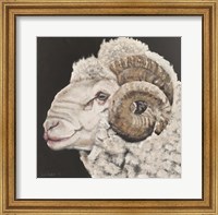 Framed Portrait of a Ram