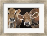Framed Hello There Cows