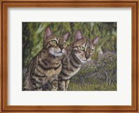 Framed Albus and Boo the Bengal Cats
