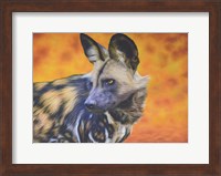 Framed African Wild Dog