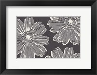 Framed Flower Pop Sketch V-Shades of Grey