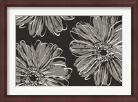 Framed Flower Pop Sketch VII-Black BG