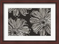 Framed Flower Pop Sketch VII-Black BG