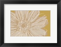 Framed Flower Pop Sketch X-Yellow BG