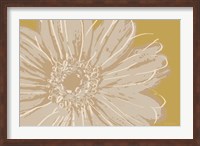 Framed Flower Pop Sketch X-Yellow BG