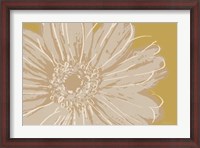 Framed Flower Pop Sketch X-Yellow BG