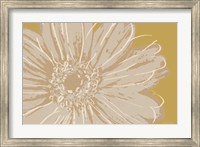 Framed Flower Pop Sketch X-Yellow BG