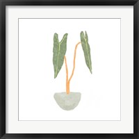 Framed Philodendron Billietiae I