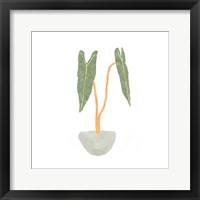 Framed Philodendron Billietiae I