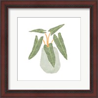 Framed Philodendron Billietiae II