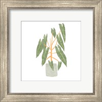 Framed 'Philodendron Billietiae III' border=