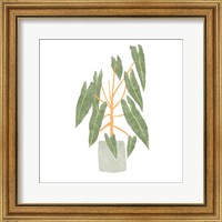 Framed 'Philodendron Billietiae III' border=