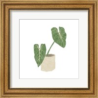 Framed Philodendron Gloriosum I
