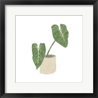 Framed Philodendron Gloriosum I