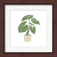 Framed Philodendron Gloriosum II