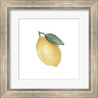 Framed Citrus Limon II
