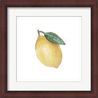 Framed Citrus Limon II