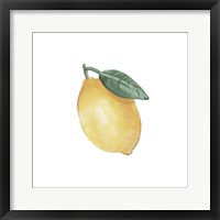 Citrus Limon II Framed Print
