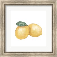 Framed Citrus Limon III