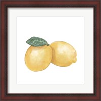 Framed Citrus Limon III