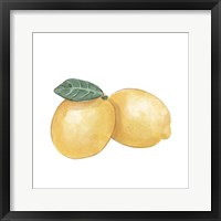 Citrus Limon III Framed Print