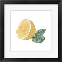 Framed Citrus Limon IV