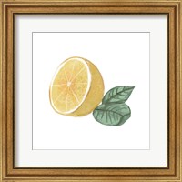 Framed 'Citrus Limon IV' border=
