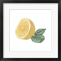 Framed 'Citrus Limon IV' border=