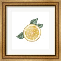 Framed Citrus Limon V