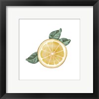 Framed 'Citrus Limon V' border=