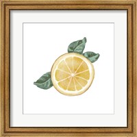 Framed 'Citrus Limon V' border=