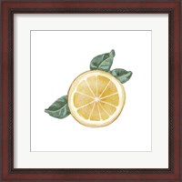 Framed Citrus Limon V