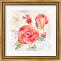 Framed 'Garden Roses I' border=