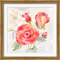 Framed Garden Roses I