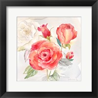 Garden Roses I Framed Print