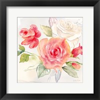 Garden Roses II Framed Print